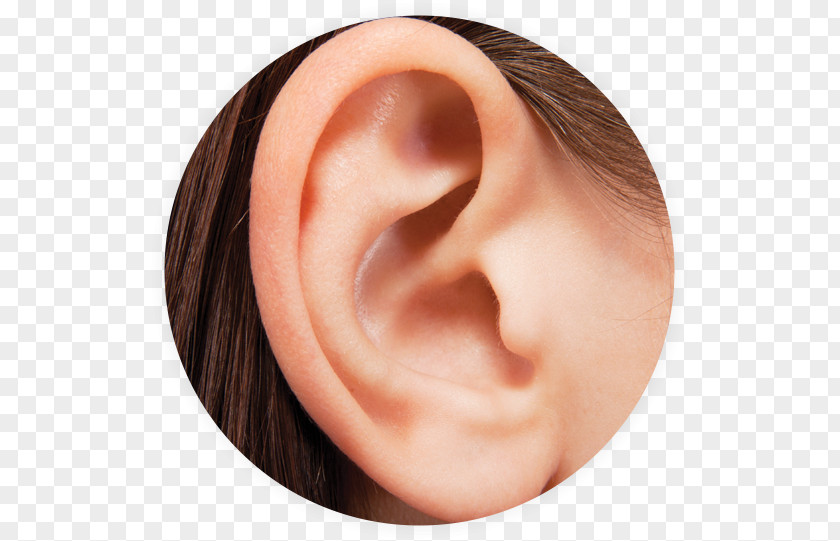 Ear Earwax Otitis Pain Hearing Loss PNG