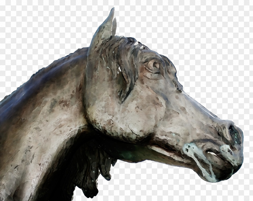 Mustang Stallion Sculpture Horse PNG