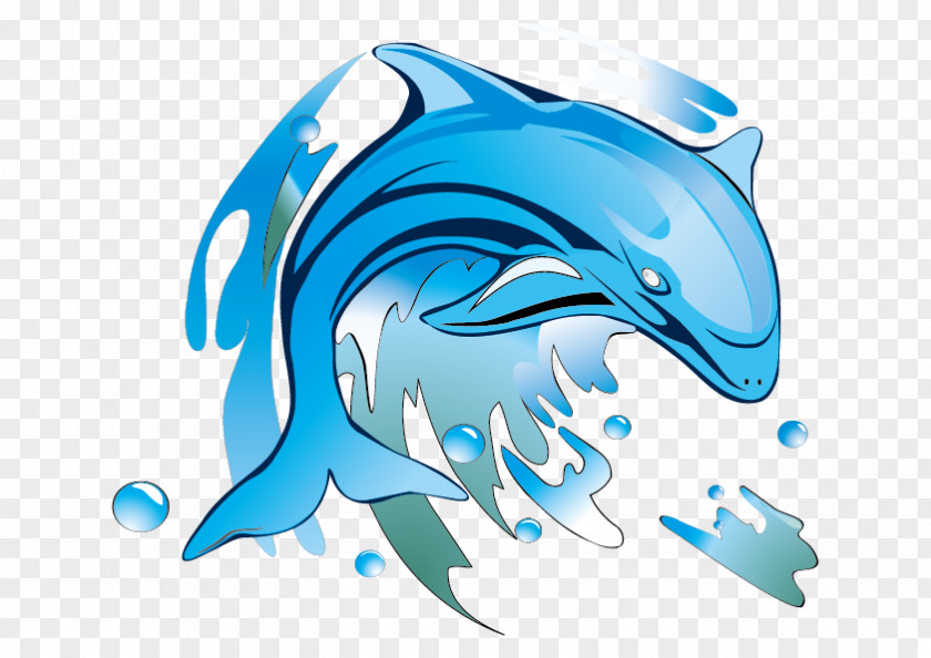 Vector Sky Blue Dolphin Drawing Clip Art PNG
