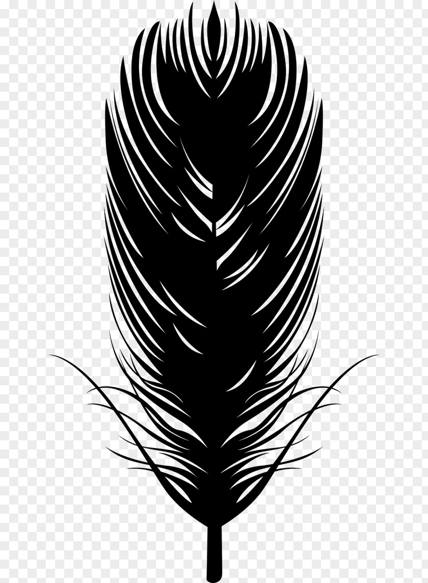 Black Feather Quill Pen Cdr Silhouette Euclidean Vector PNG