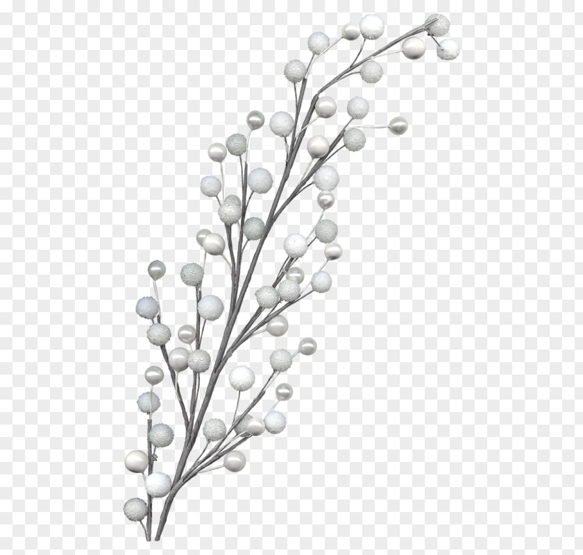 Pedicel Plant Wedding Floral Background PNG