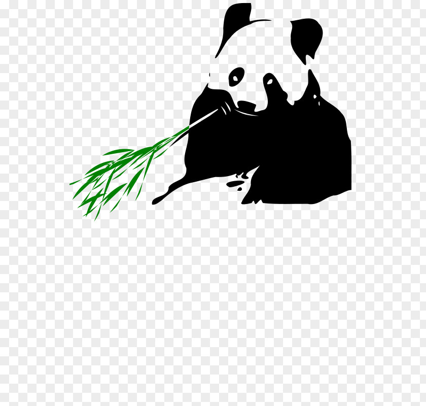 Bear Giant Panda Tropical Woody Bamboos Eating Clip Art PNG