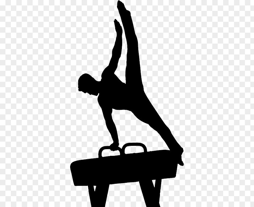 Gymnastics PNG clipart PNG