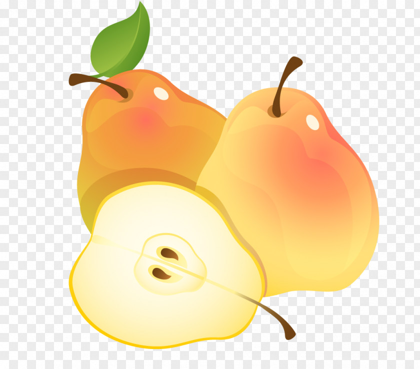 Pear Fruit Clip Art PNG