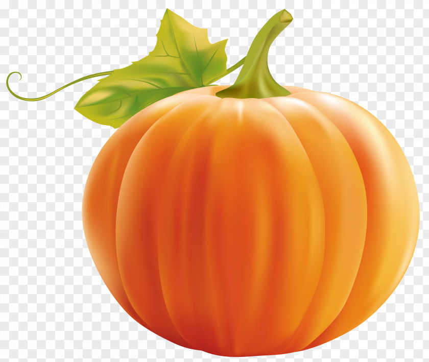 Pumpkin Clipart Image Clip Art PNG