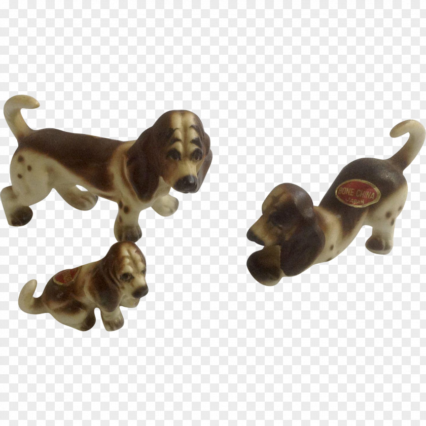 Puppy Dog Breed Basset Hound Bloodhound Plott PNG