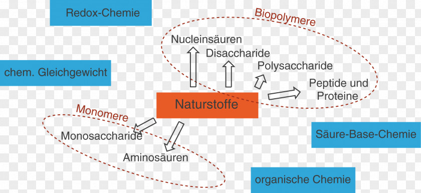 Chemie Natural Product Organic Chemistry Digitales Schulbuch Wikipedia PNG