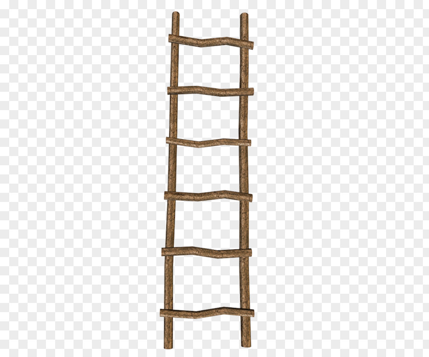 Furniture Shelf Shelving Ladder PNG