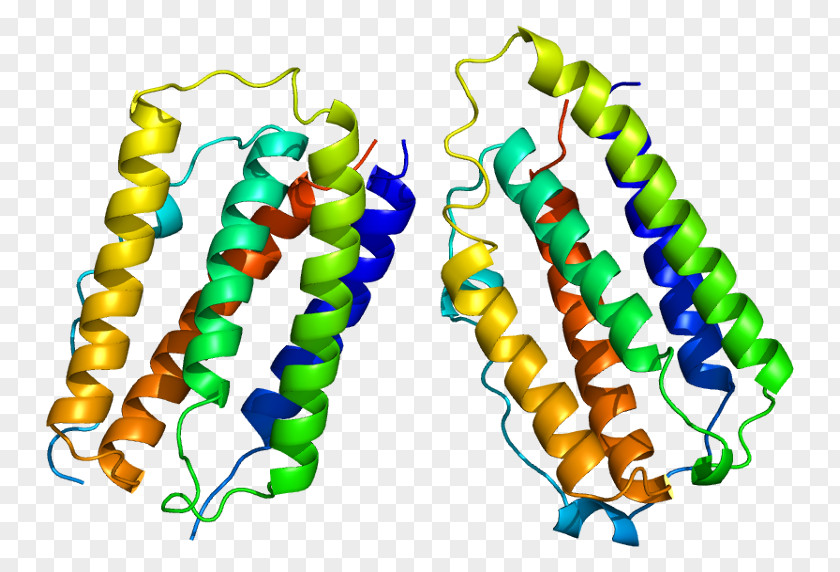 IFNB1 Interferon Beta-1a Protein Gene: Database Of Genes From NCBI PNG