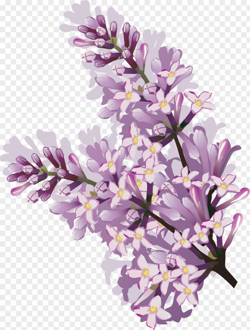 Lilac Flower Watercolor Painting Clip Art PNG