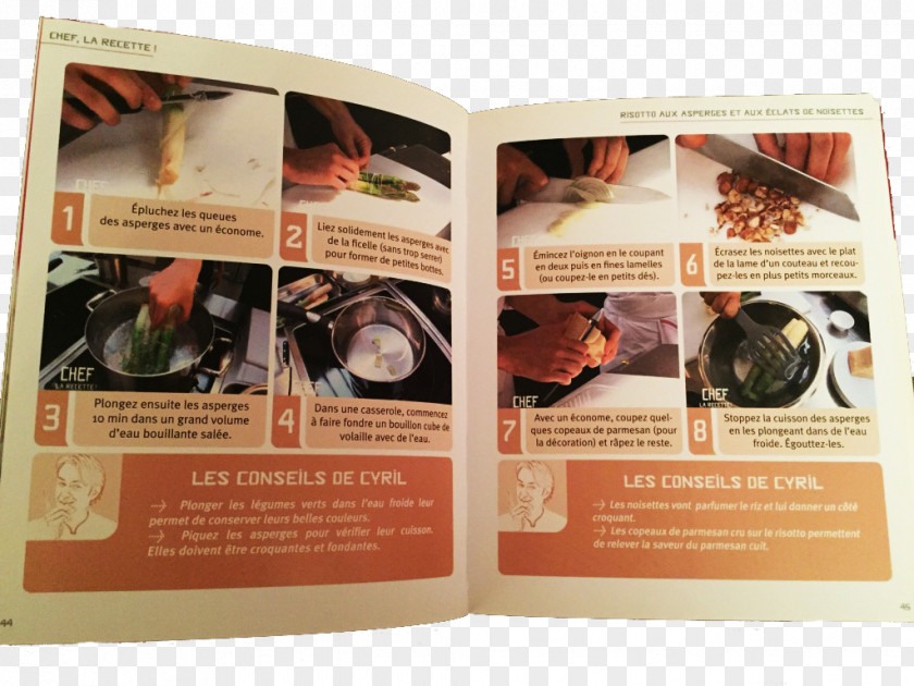 Risotto Illustration Brochure PNG