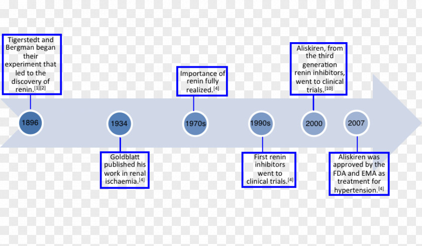 Timeline Organization Brand Communication PNG