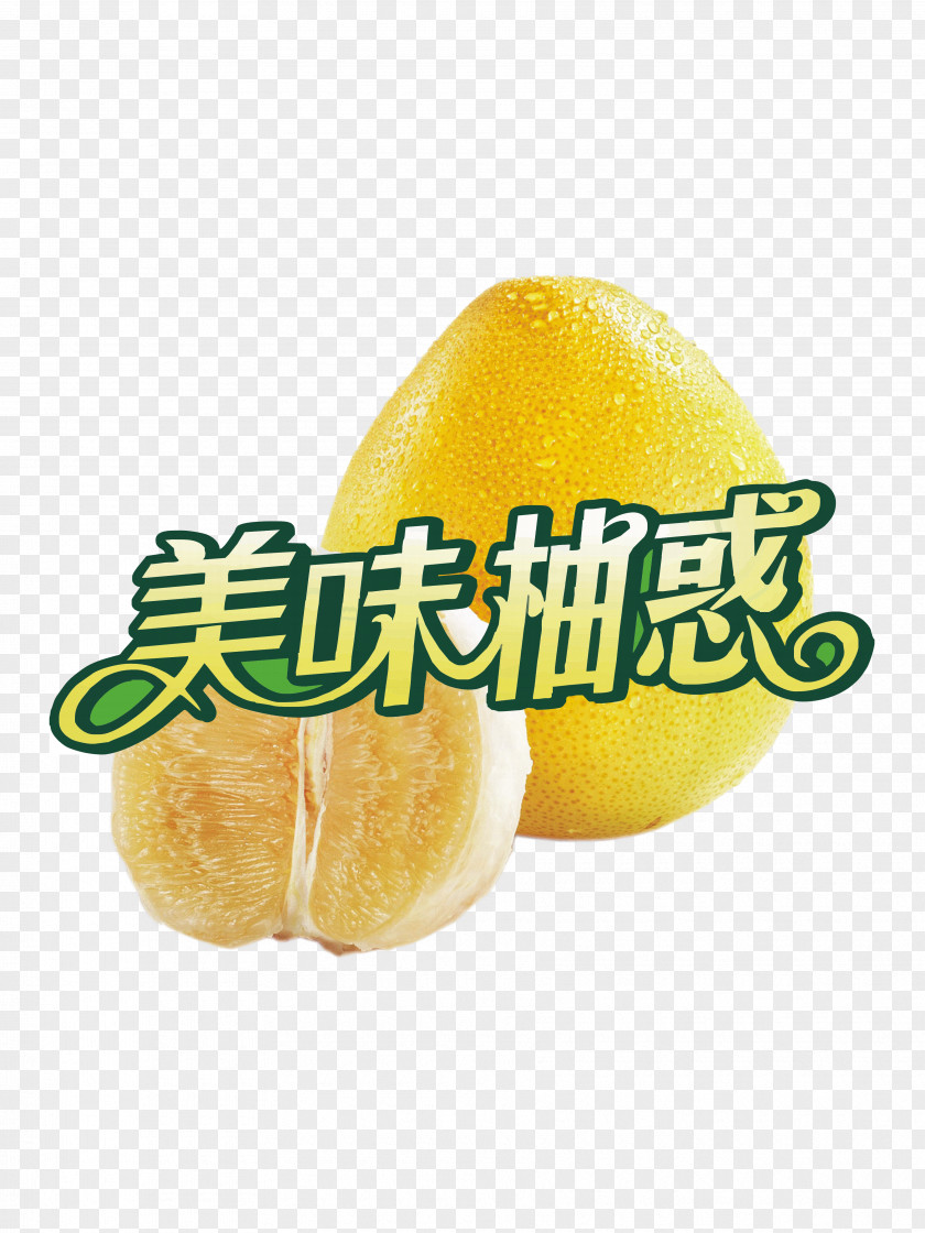 Grapefruit Lemon Citrus Junos Pomelo Lime PNG