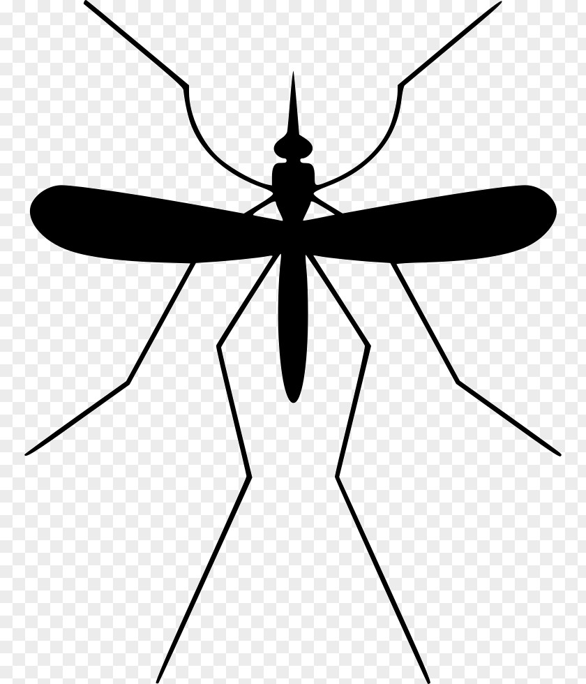 Mosquito Insect Misitio El Mosco Pest Control PNG