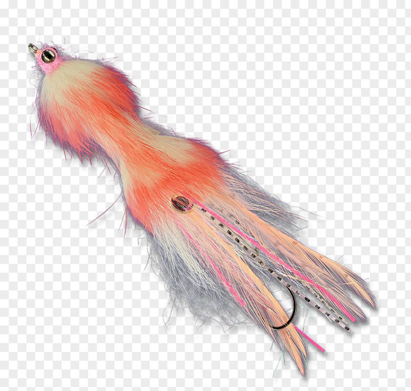 Steelhead Flies Feather PNG