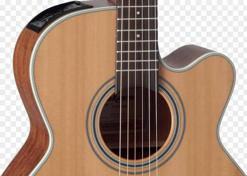 Acoustic Guitar Acoustic-electric Dreadnought Takamine Guitars PNG