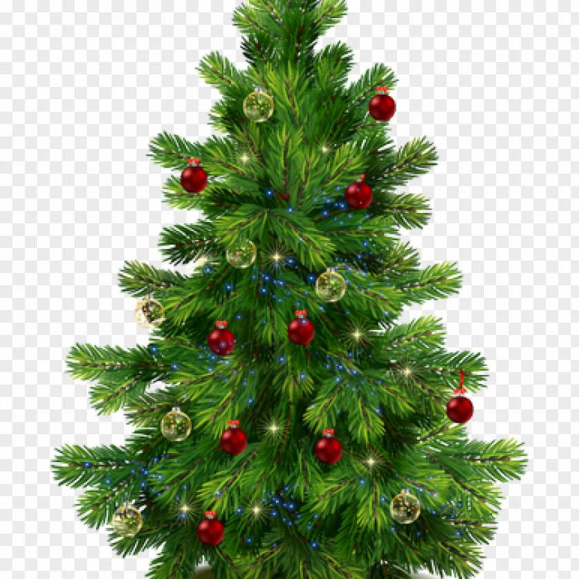 Fir-tree Noble Fir Pine Tree Clip Art PNG