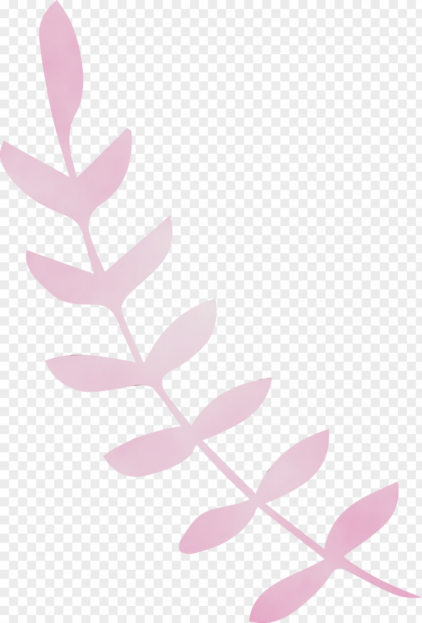 Leaf Pink M Font Line Meter PNG