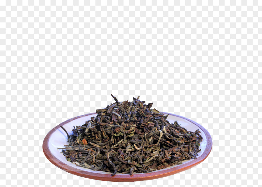 Purple Clay Teapot Nilgiri Tea Dianhong Romeritos Golden Monkey PNG
