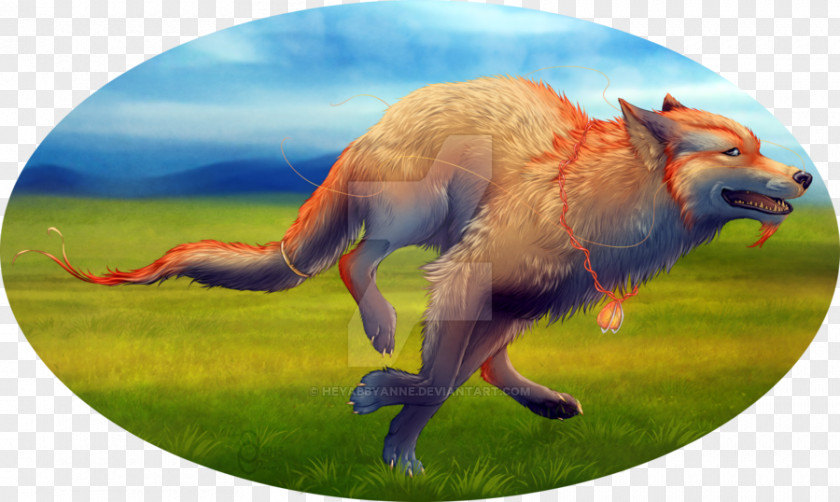 Red Fox Fauna Wildlife Snout News PNG