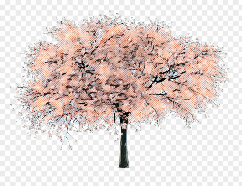 ST.AU.150 MIN.V.UNC.NR AD Cherry Blossom Cherries PNG