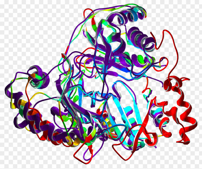 Superimposing Protein Structure Enzyme Biological Organisation PNG