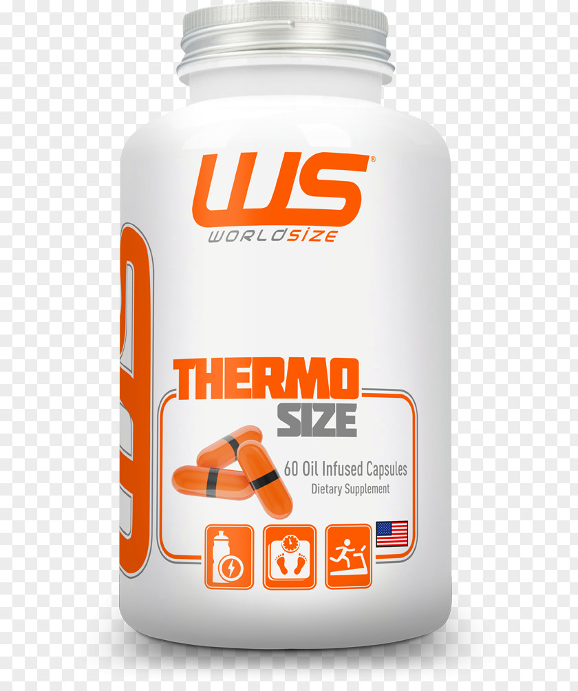 Thermo Dietary Supplement Branched-chain Amino Acid Sports Nutrition Whey PNG