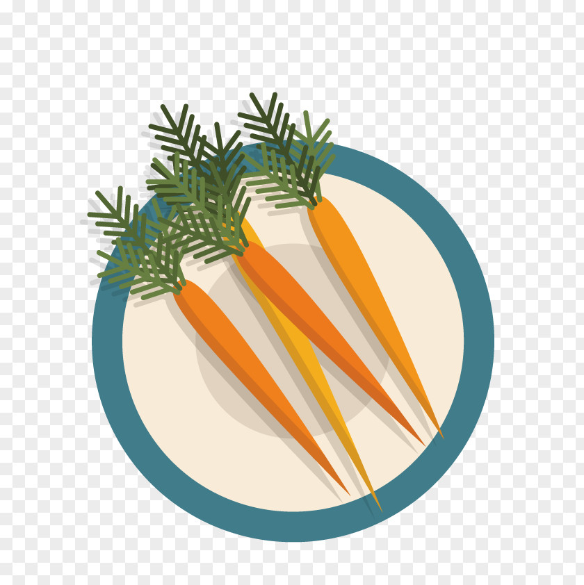 Vector Carrot Tomato Soup Vegetable Dish PNG