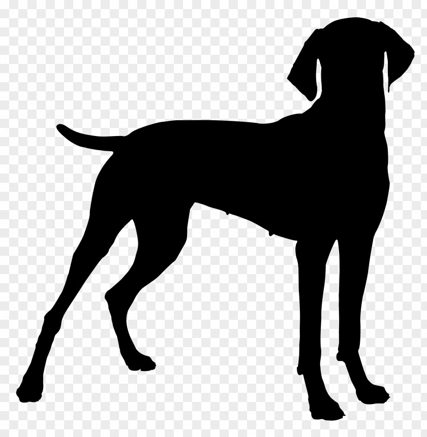 Your Vizsla Jack Russell Terrier Bulldog Hunting Dog PNG