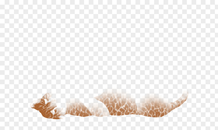 Crackle Fur Animal PNG