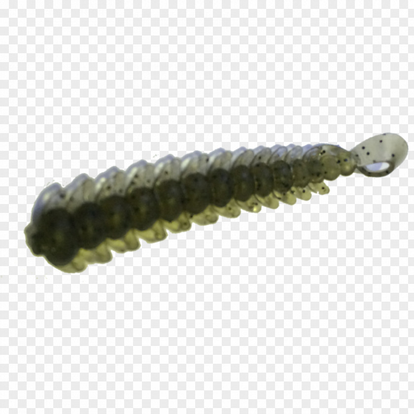Olive Flag Material Worm PNG