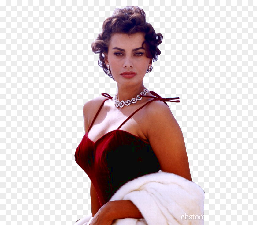 Actor Sophia Loren France Autograph PNG