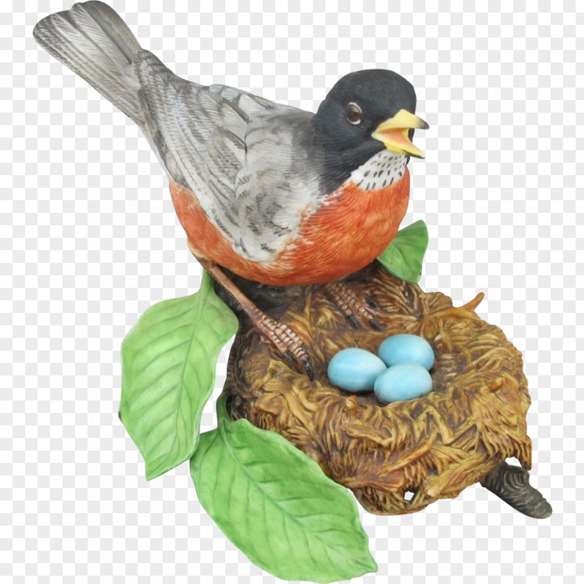 Bird European Robin Nest Duck American PNG