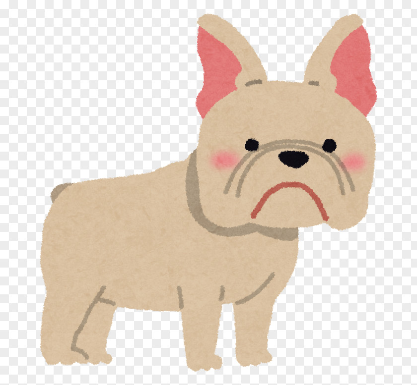 French Bulldog Dog Food Papillon Maltese PNG