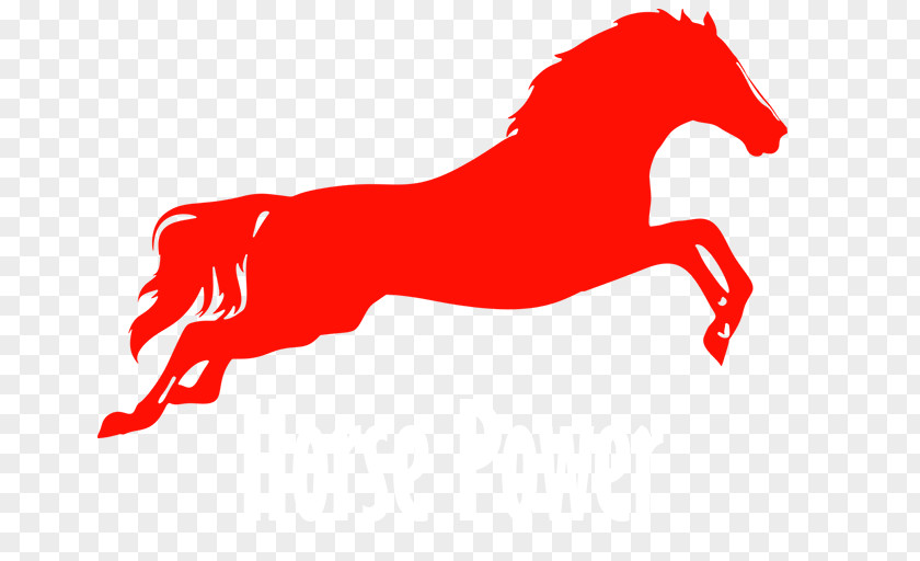 Horse Jumping Clip Art PNG