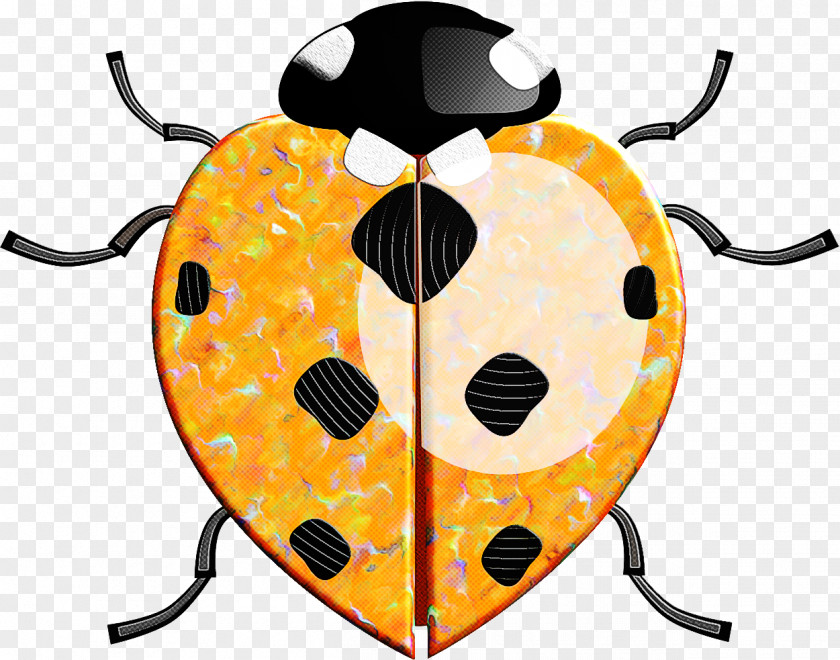 Insect Yellow Beetle PNG