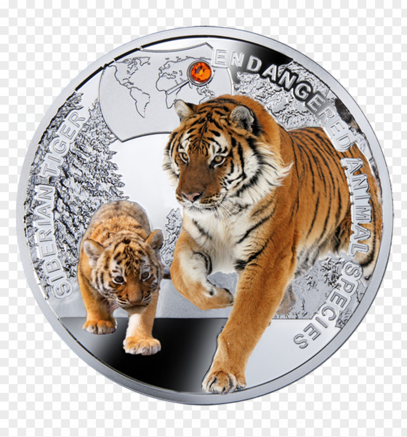 Siberian Tiger Endangered Species Coin Amur Leopard Animal PNG