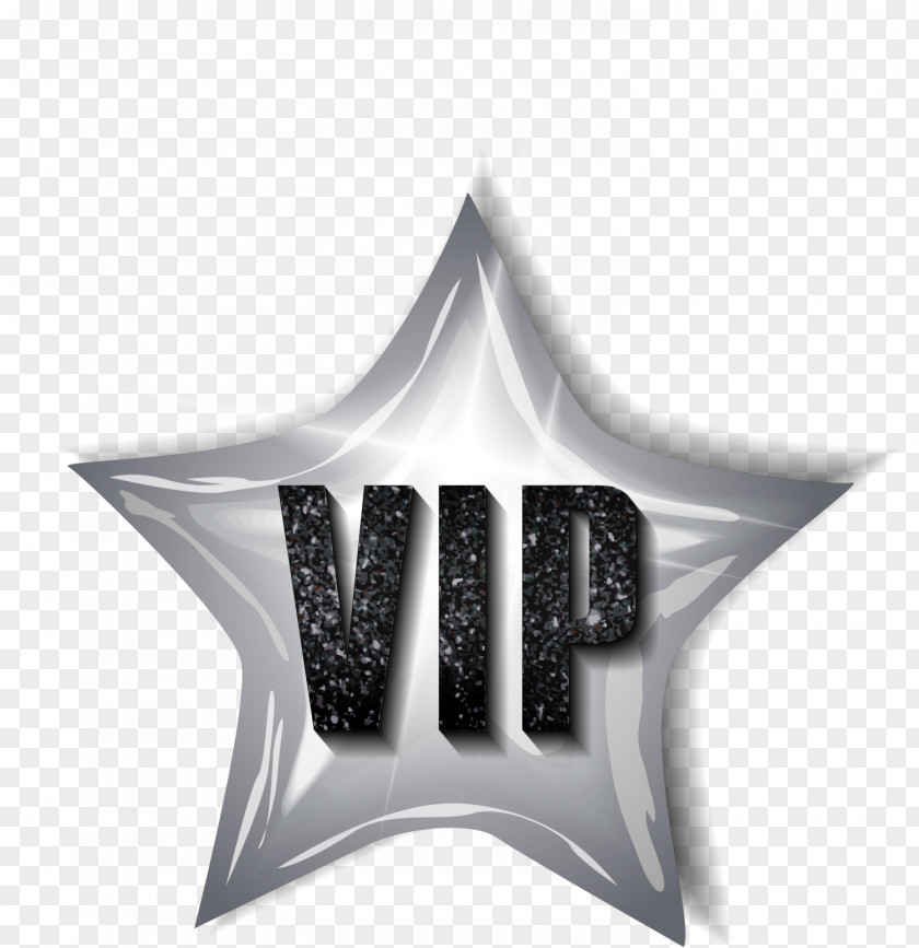Silver VIP Stars Logo Icon PNG