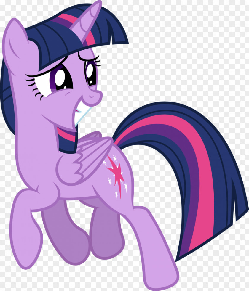 Twilight Sparkle Pony Rainbow Dash Applejack Winged Unicorn PNG