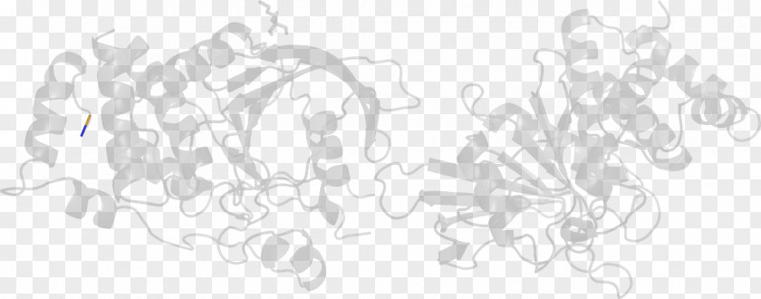 Design White Sketch PNG