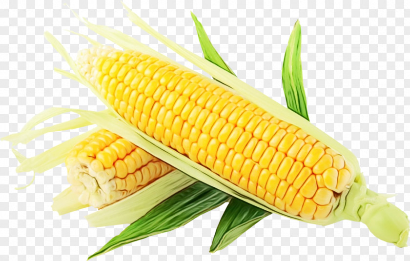 Food Grain Cuisine Corn Kernels Sweet On The Cob PNG