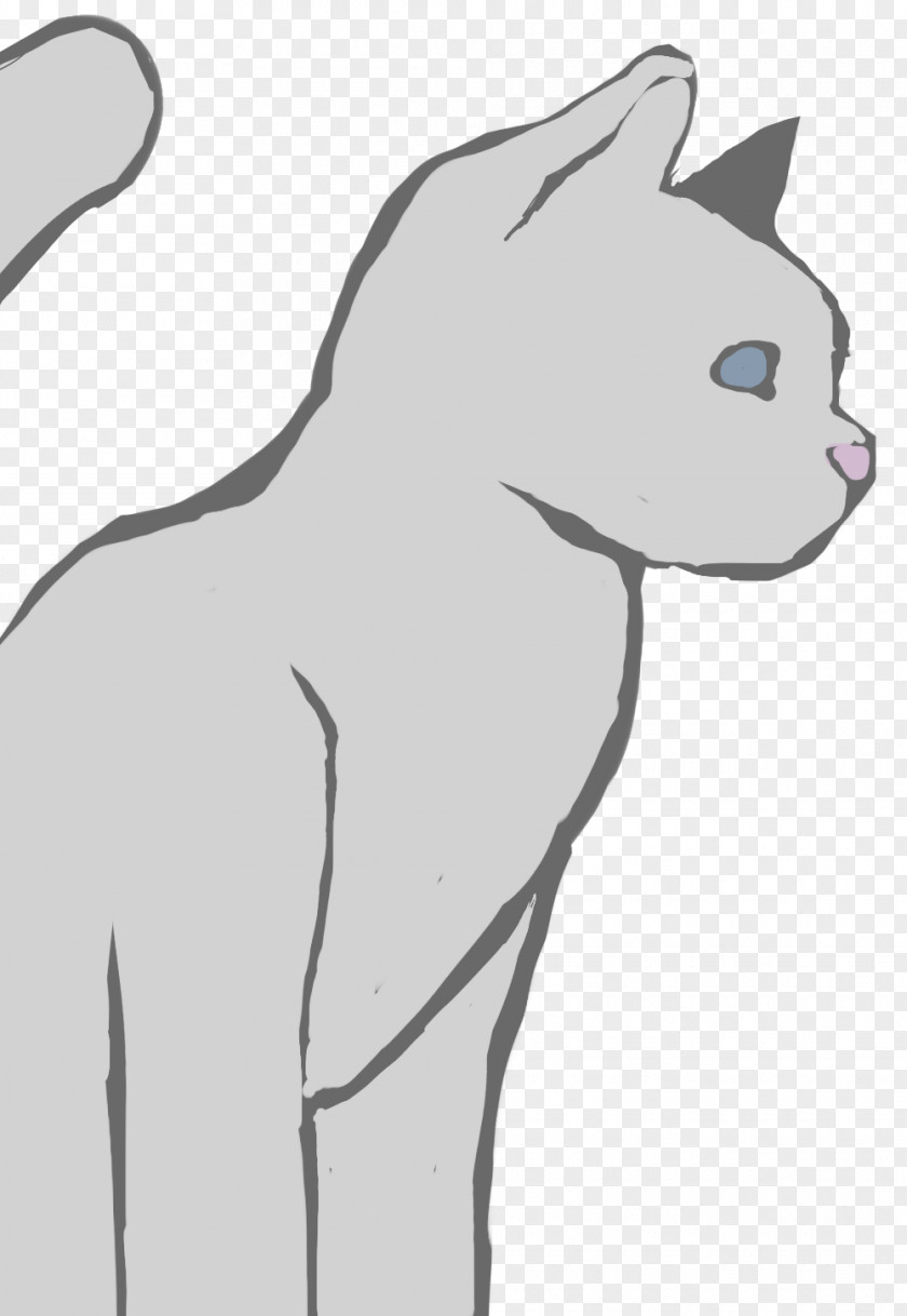 Gray Cat Whiskers Domestic Short-haired Line Art PNG