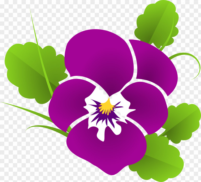 Pansy Flower Garden Gardening Made Easy Stock.xchng PNG
