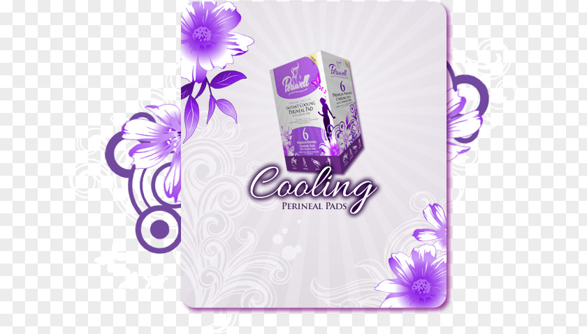 Sanitary Napkin Brand PNG