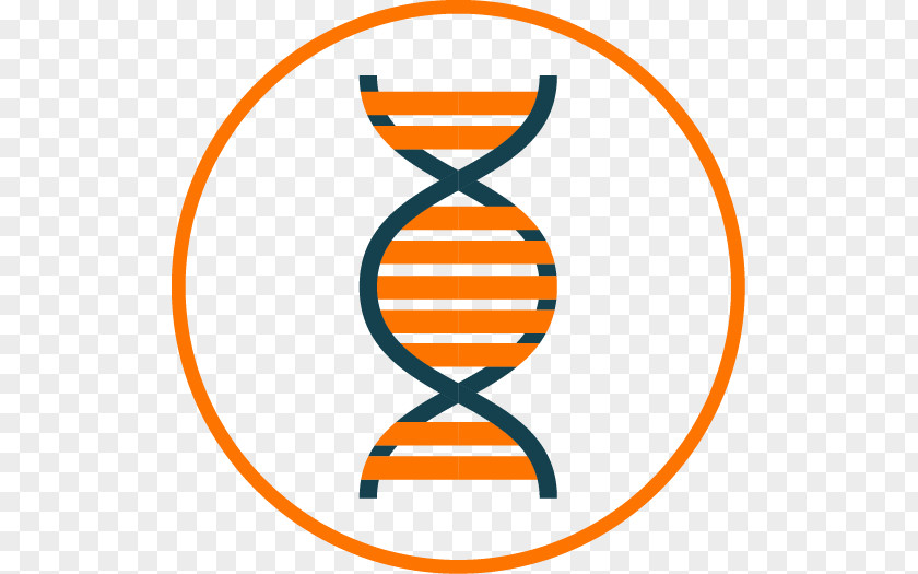 Science Gene Clip Art PNG