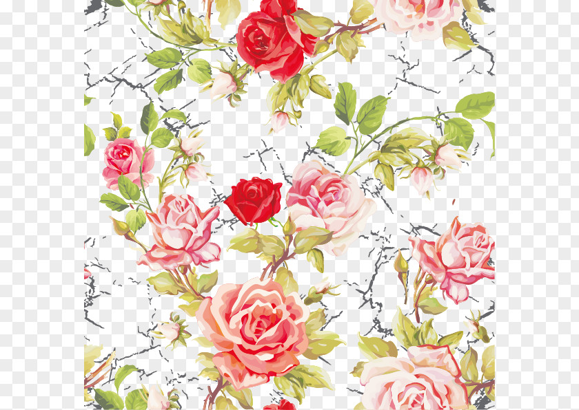 A Pattern Of Roses Decorative Patterns Garden Centifolia Flower PNG