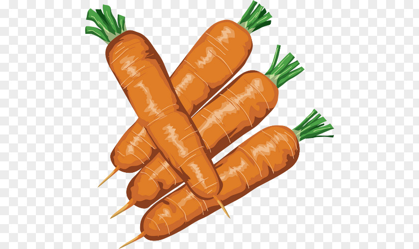 Hot Dog Baby Carrot Knackwurst Bockwurst PNG
