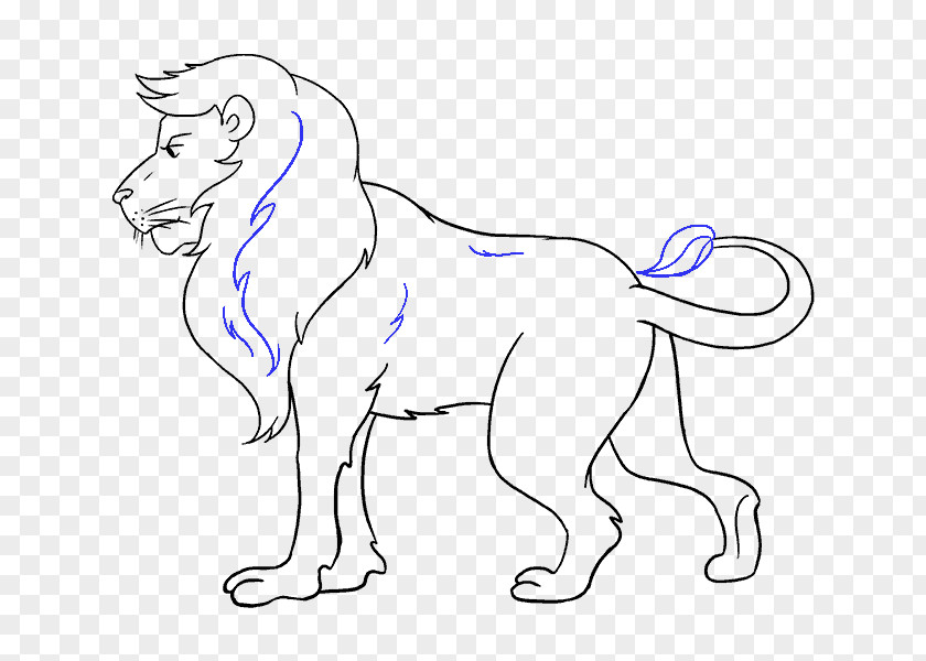 Lion Drawing Simba Sketch PNG