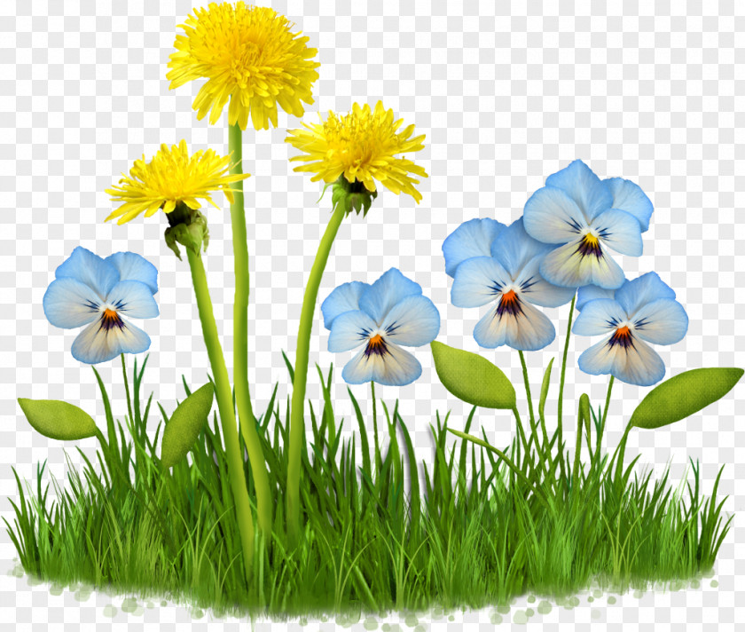 Meadow Flower Spring Animaatio Computer Animation Clip Art PNG
