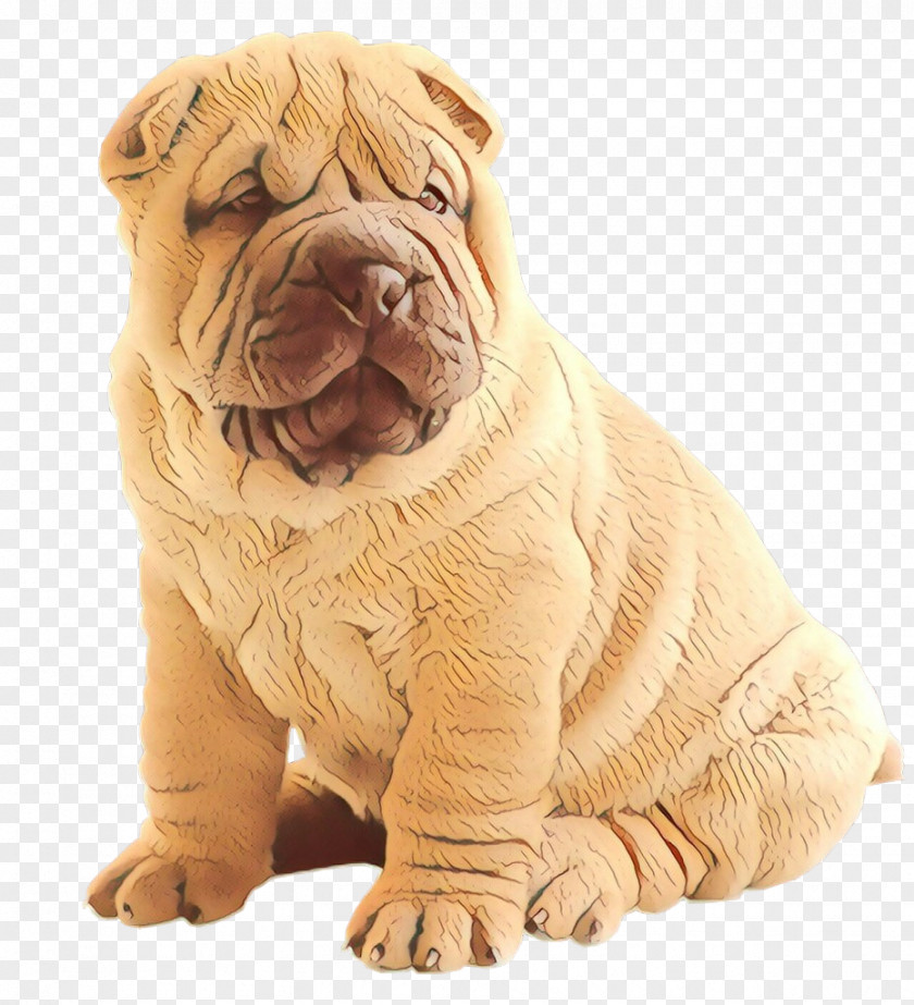 Wrinkle Oripei Dog Shar Pei Skin Ori-pei PNG